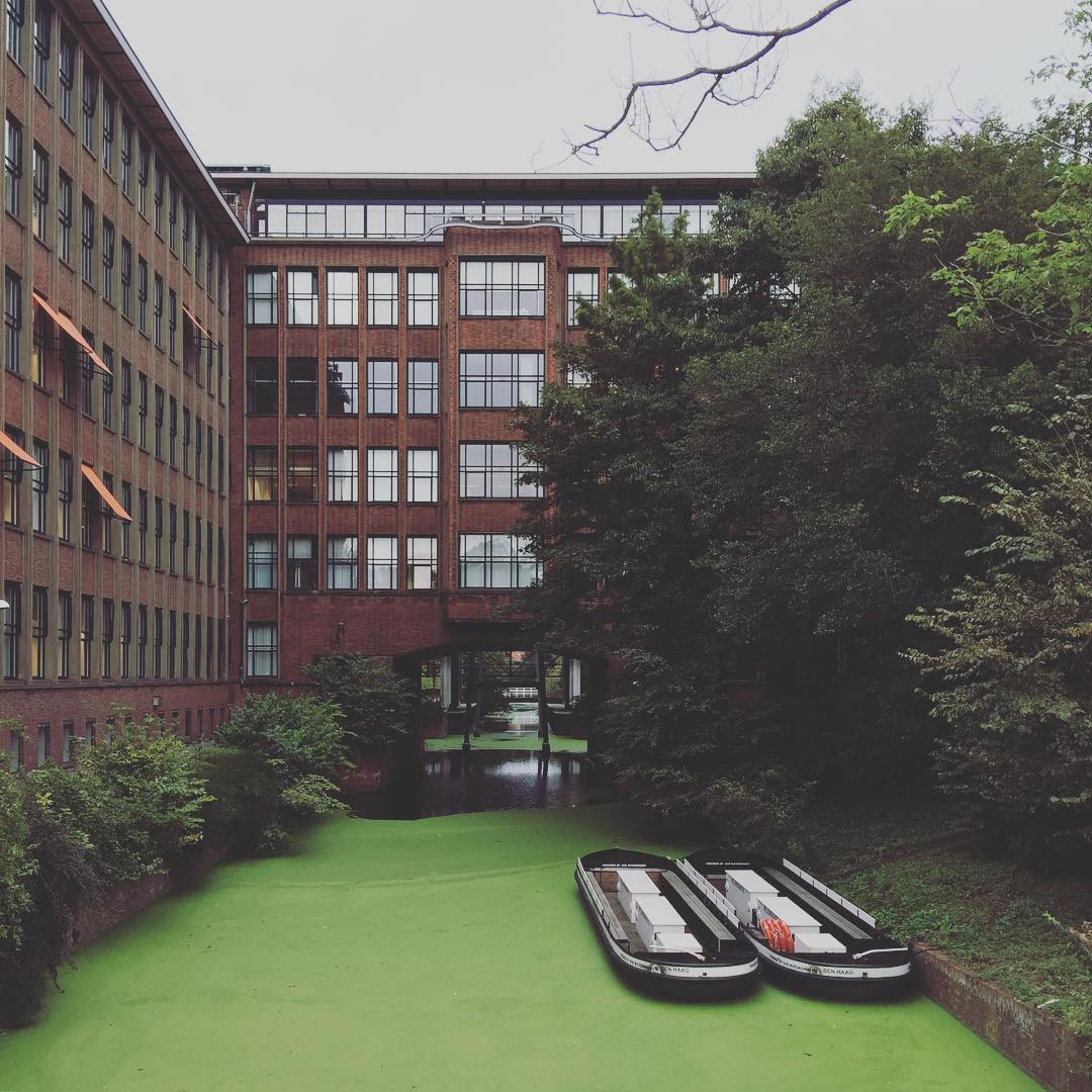 Гаага, Нидерланды